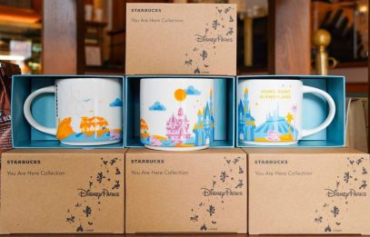 Starbucks Disney Park Mugs